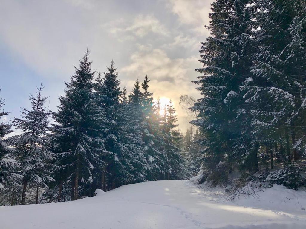 Villa Almland Huette Pusterwald Esterno foto