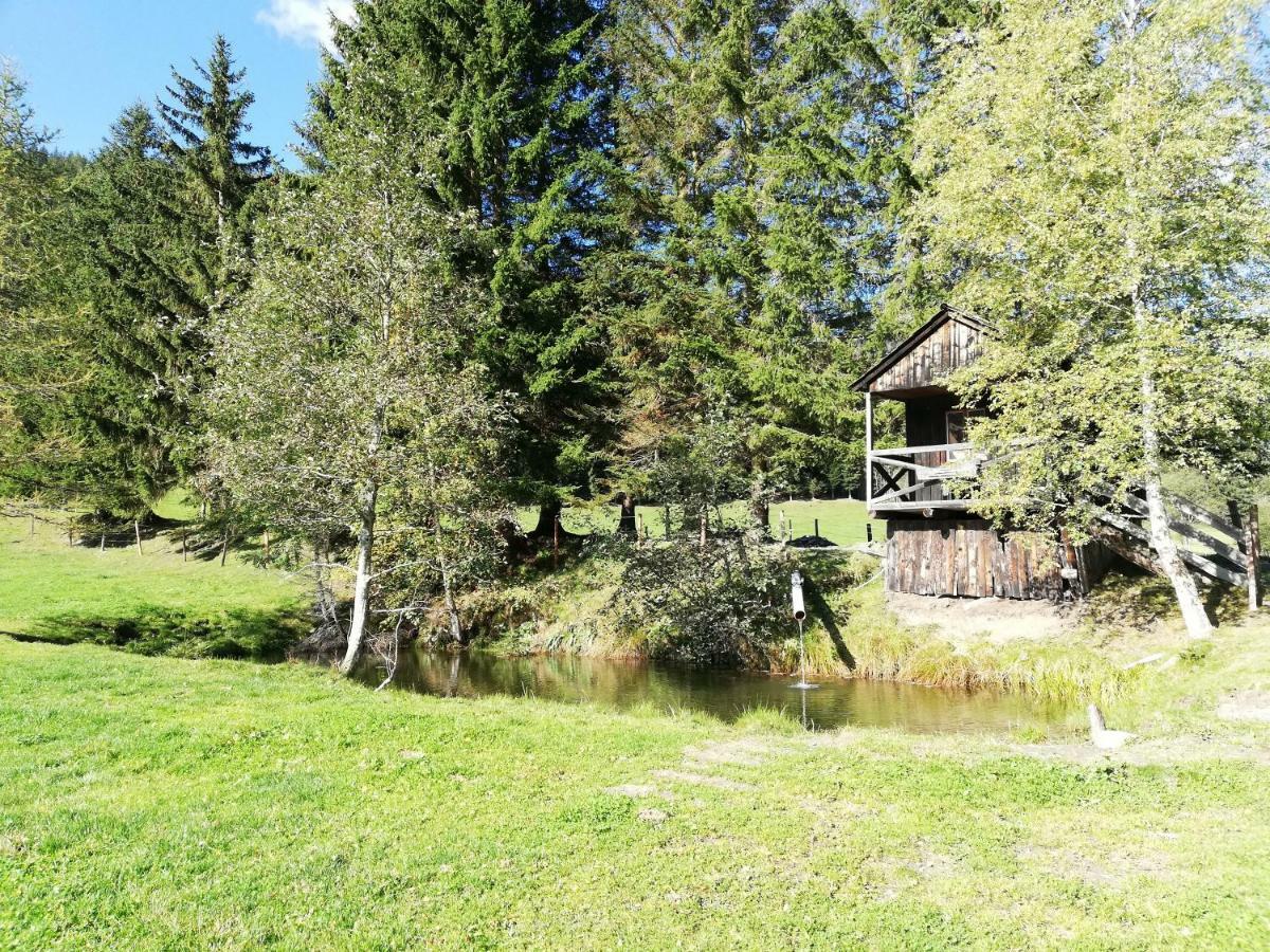 Villa Almland Huette Pusterwald Esterno foto